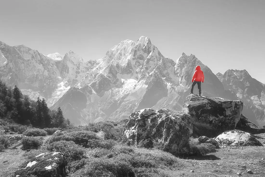 Ziebertz Institut - Torsten Ziebertz - PFLEGEFAMILIEN TRAUMAPÄDAGOGIK/ TRAUMAZENTRIERTE BERATUNG PSYCHOSOZIALE BERATUNG